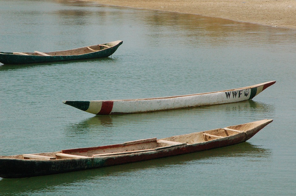 3 canoës en bois sur l'eau